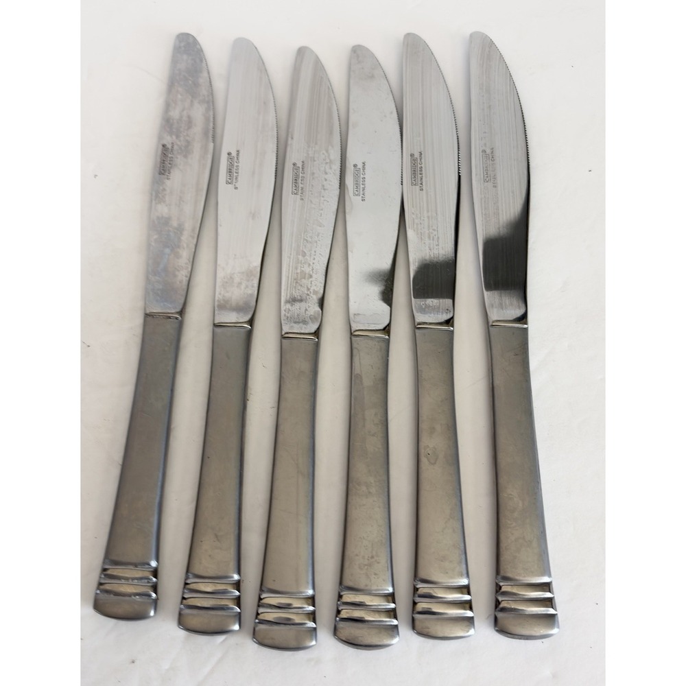 Set of 6 Cambridge Codie Sand Frost Stainless Butter Dinner Knifes Flatware  8"